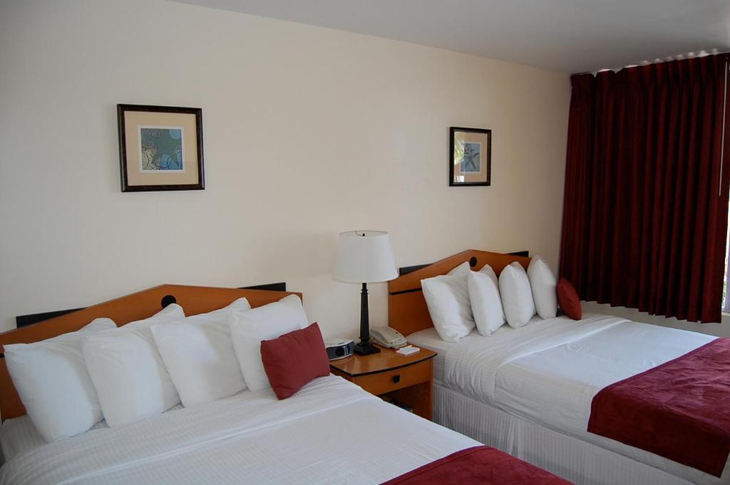 Alcazar Resort- Gay Mens Resort Fort Lauderdale Rum bild