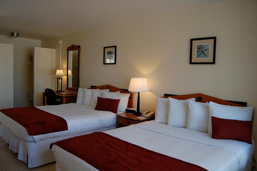 Alcazar Resort- Gay Mens Resort Fort Lauderdale Rum bild