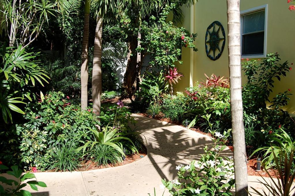 Alcazar Resort- Gay Mens Resort Fort Lauderdale Exteriör bild
